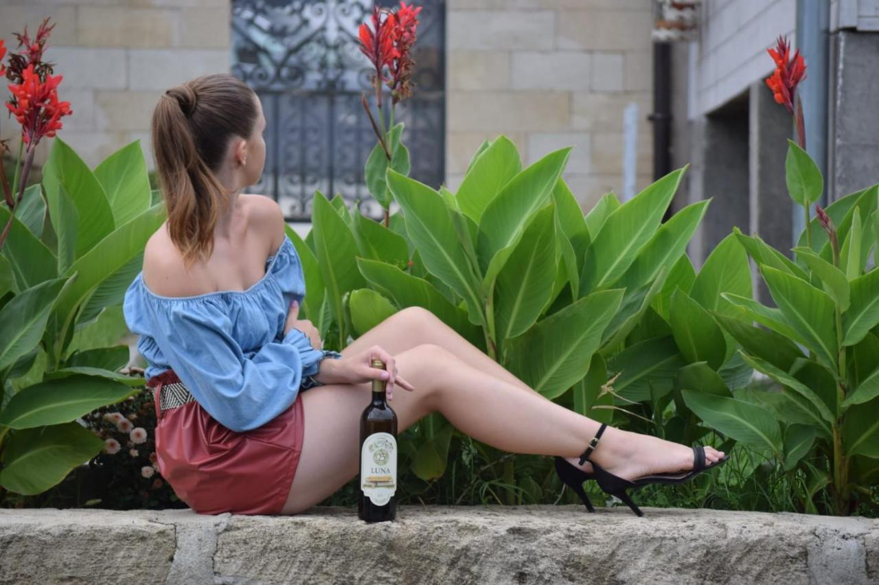 Apartmani Bojeresku Negotin Ngoại thất bức ảnh