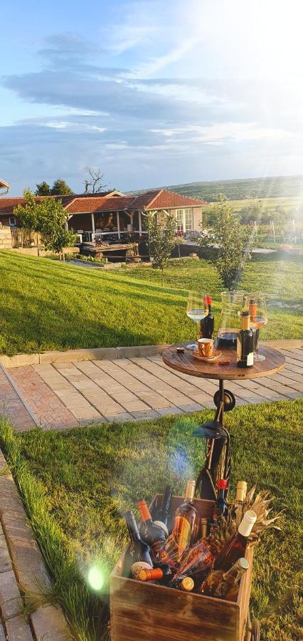 Apartmani Bojeresku Negotin Ngoại thất bức ảnh